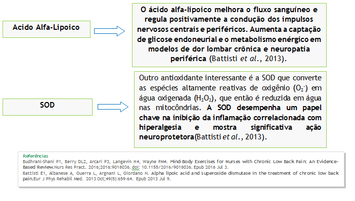 Estudo comprova que a associação de ácido alfa-lipoico + SOD diminui a dor na lombalgia crônica.