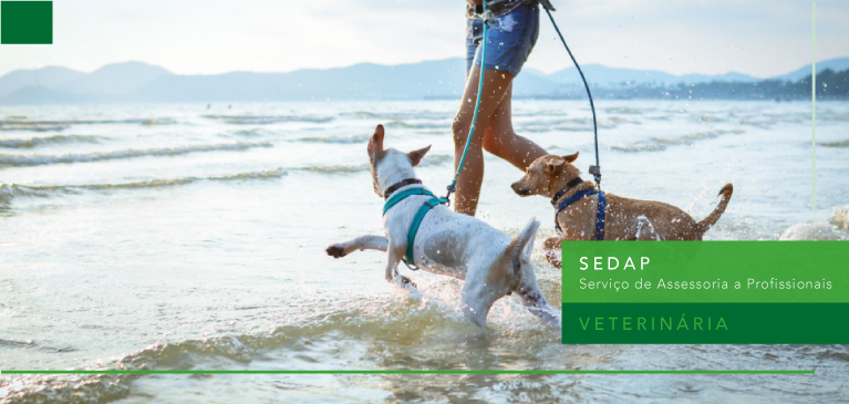 Mexilhão Greenshell™ no Alívio de Dores Relacionadas à Mobilidade Canina