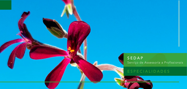 Pelargonium sidoides Reduz os Sintomas Associados ao Resfriado