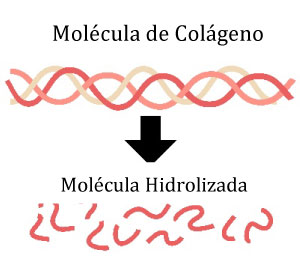 Benefícios dos Suplementos Compostos de Colágeno