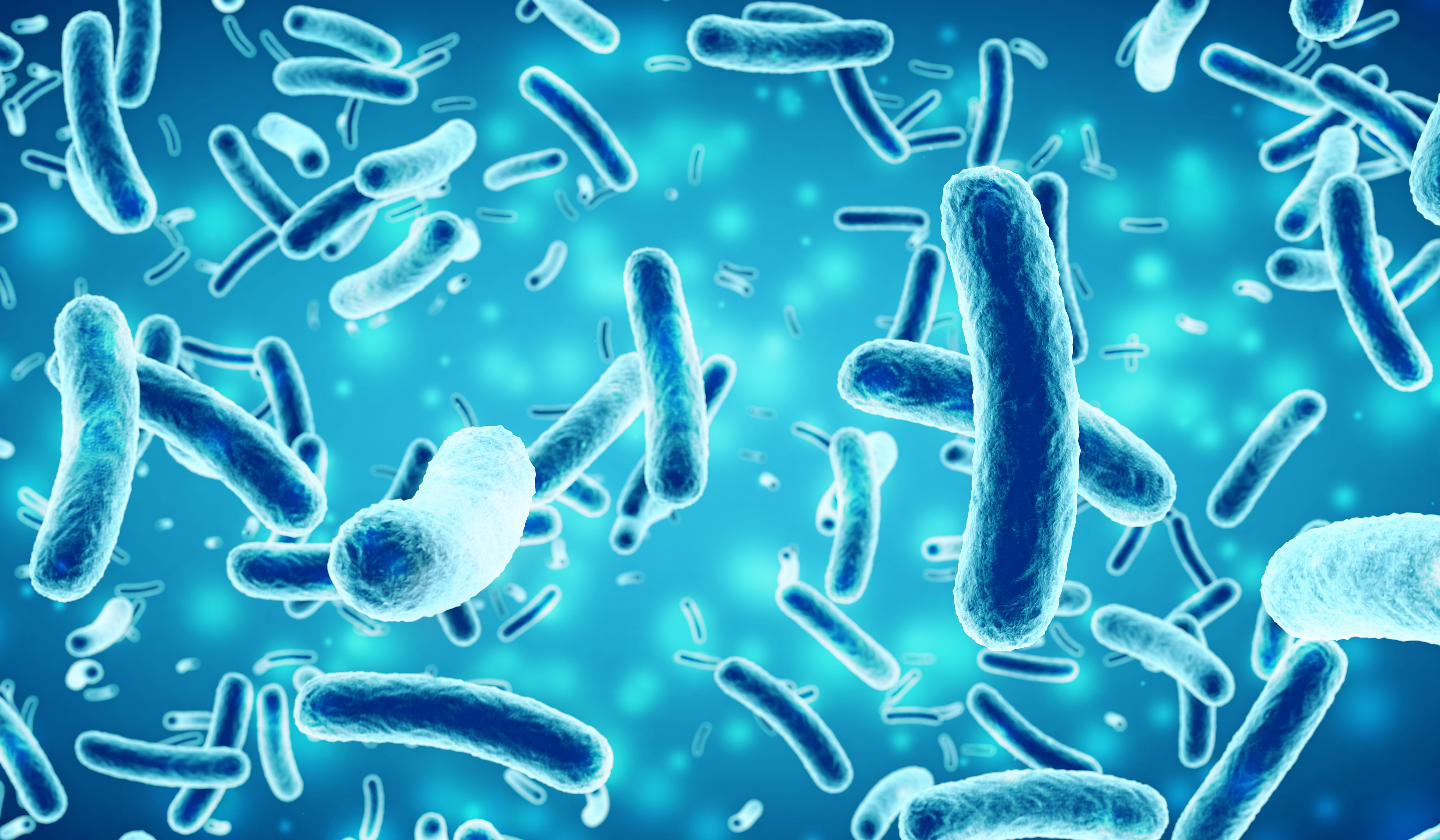 microbioma